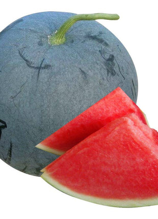 Black Diamond Watermelon Seeds