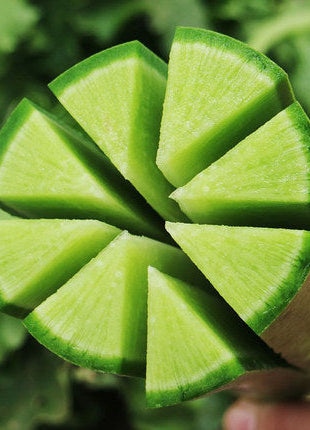 ShaWo Fruit Radish Seeds