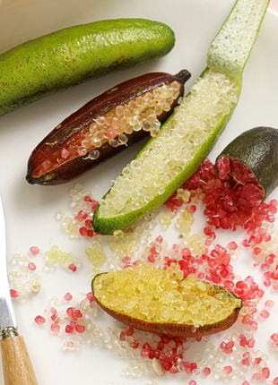 Finger Lime Seeds Lemon Caviar Seeds