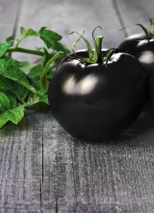 Rare Black Tomato Seeds