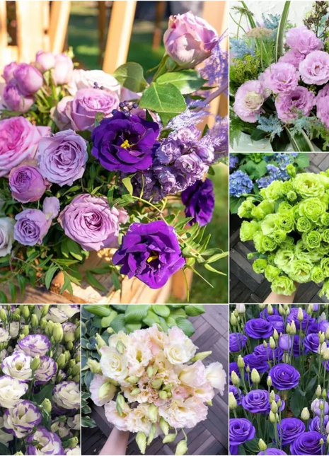 🌺Lisianthus – Sincere Love