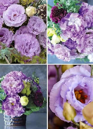 💐Lisianthus - A Sincere and Immutable Love