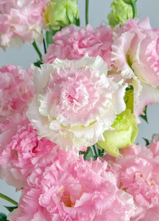 🌺Lisianthus – Sincere Love