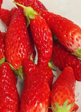 Rare Chili Strawberry Fruits Seeds