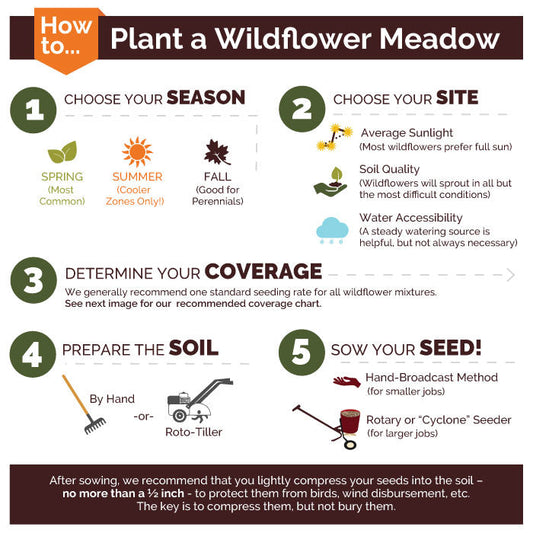 Red Head - Exclusive Red Wildflower Seed Mix