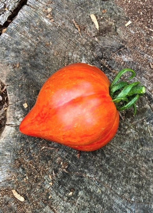Crushed Heart Tomato Seeds  Organic Heirloom Tomatoes