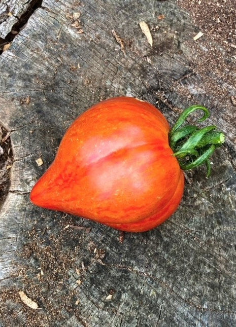 Crushed Heart Tomato Seeds  Organic Heirloom Tomatoes