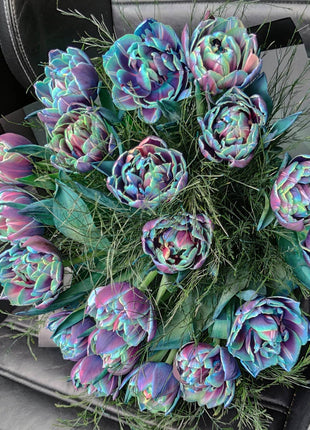 Tulipany Double Bubble