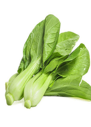 All year round 200pcs Chinese cabbage seeds