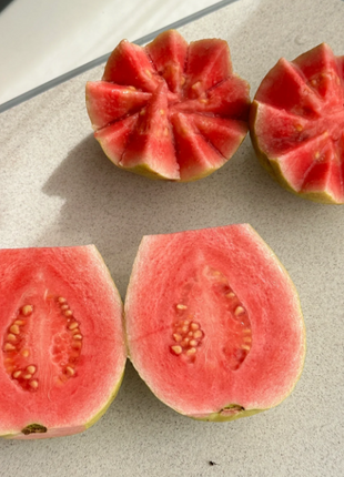 Tropical Strawberry Guava Organic Pink Guava Seeds