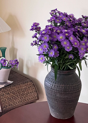 🫧Aster Seeds- Purple Dome