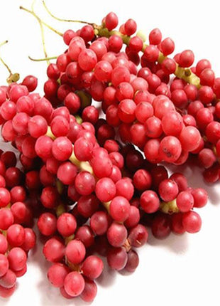 Egrow 50Pcs（100Pcs）/Pack Schisandra Seeds Chinese Magnolia Vine Edible Garden Fruit Tree Seed DIY Plants