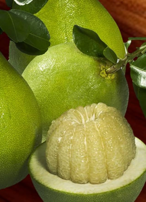 Amazingly HUGE Sweet Citrus RARE Seeds