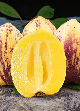 Solanum Muricatum Melon Pear Seeds