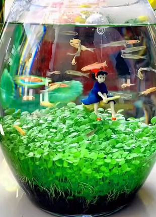 🌿Air Purifying Fish Tank Aquatic Plant Seeds