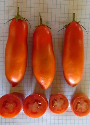 Non Gmo Tomato Red Banana Seeds