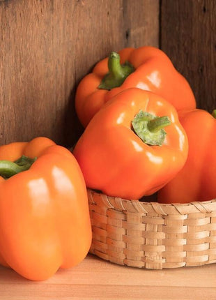 Pepper Milena F1 Organic