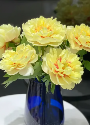 🌺 The Queen of Flowers—Double Petaled Piani