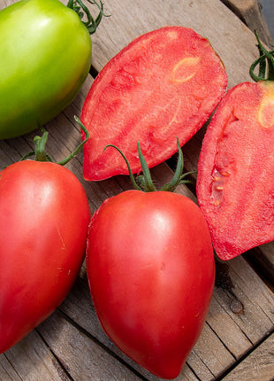 Mango Honey Tomato Seeds