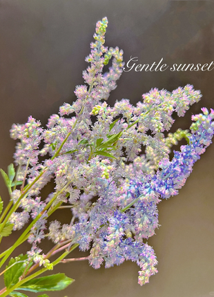 Astilbe Chinensis Seeds-Light Blue