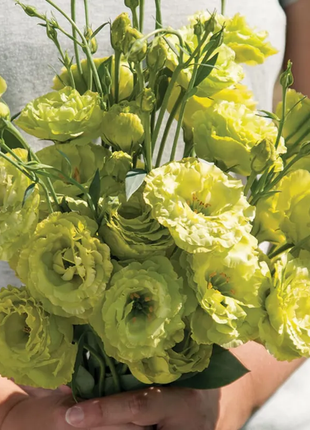 💐Lisianthus - A Sincere and Immutable Love