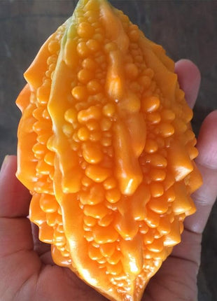 Lai Grape Seeds for Garden Bitter Gourd Seeds