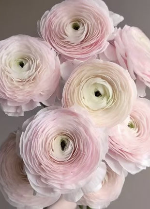 Buttercup Peony-Integrate Elegance And Luxury Into One