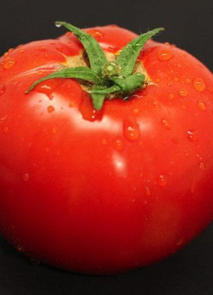Garden Treasure Tomatoes