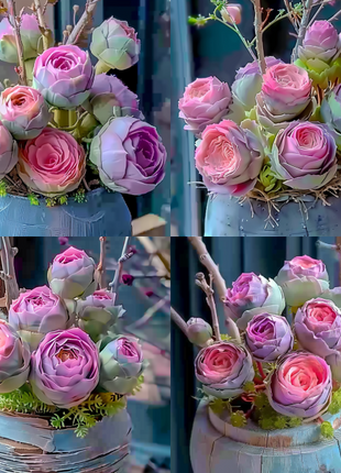 Mountain Rose Succulent Plant