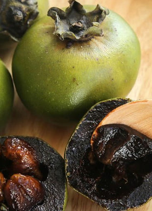 Black Sapote Seeds
