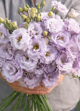 💐Lisianthus - A Sincere and Immutable Love