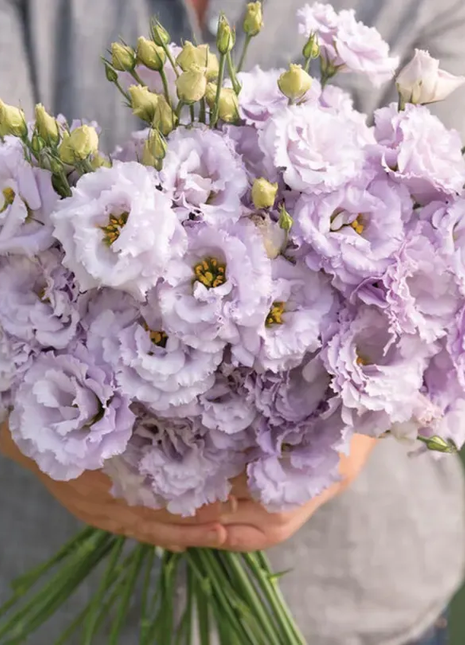 💐Lisianthus - A Sincere and Immutable Love