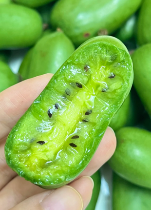 Soft Date Kiwi Seeds