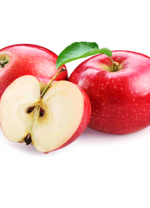 Organic Heirloom Perennial Apple Seeds