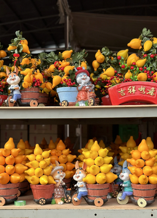 Golden Fruit Seeds 💛Five Generations Of Fruits💛