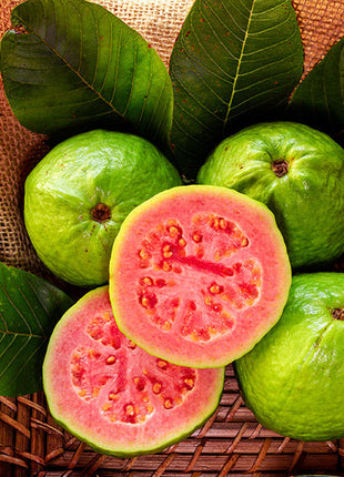 Tropical Strawberry Guava Organic Pink Guava Seeds