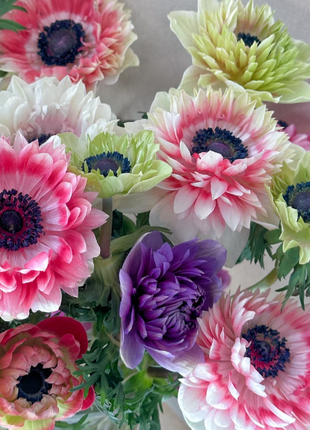 🌸Double Anemone Seeds