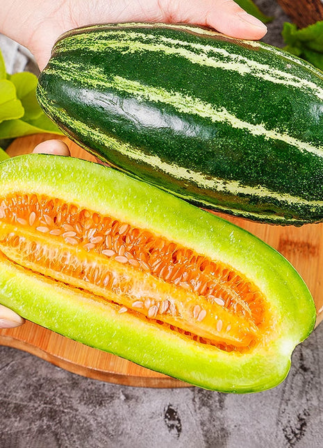 Honey Rock Melon Seeds Muskmelon Seeds