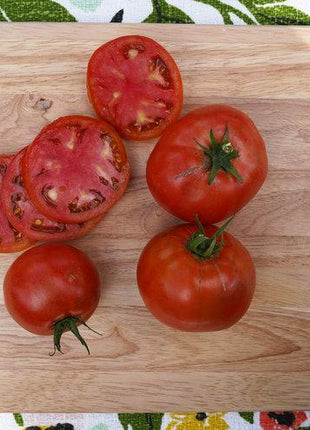 Garden Treasure Tomatoes