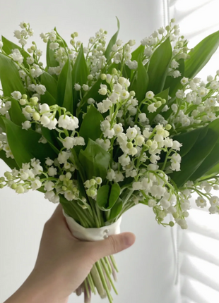 💐Lily of the Valley - Happiness Arrives