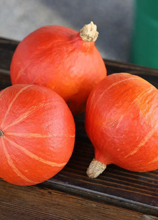 Squash Steph Kuri F1 Organic