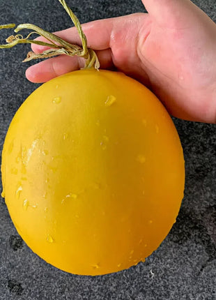 🍈Yellow River Honey Melon