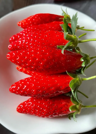 Rare Chili Strawberry Fruits Seeds