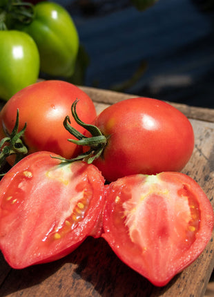 Mango Honey Tomato Seeds