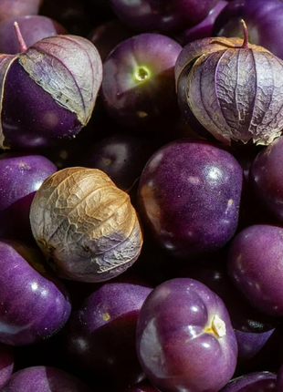 🍒Golden Berry Seeds Lantern Fruit Seeds—Golden Fruit