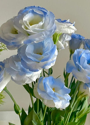 🌺Lisianthus – Sincere Love