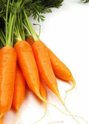 Carrot Royal Chantenay