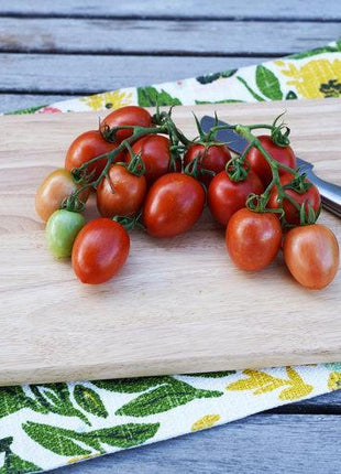 Garden Gem Tomatoes
