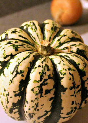 Carnival Squash Seeds