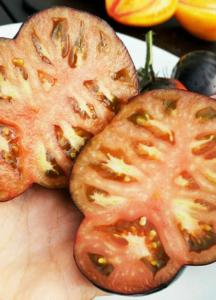 Giant Black Beauty Tomato